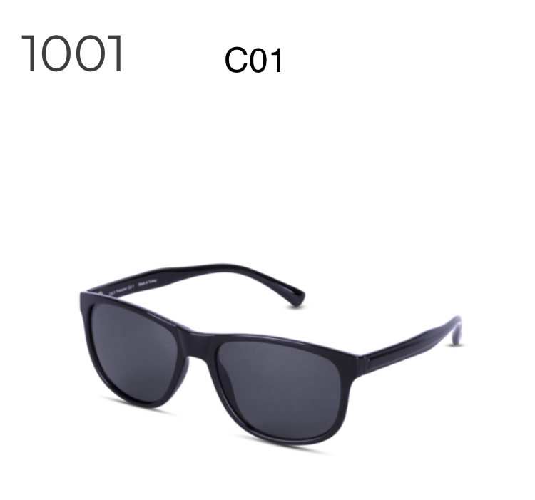 Sunglasses Collection